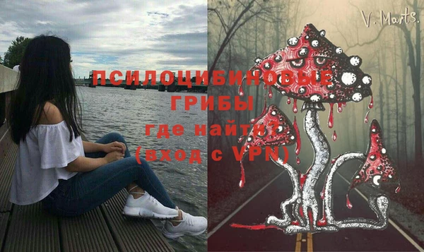 a pvp Гусиноозёрск