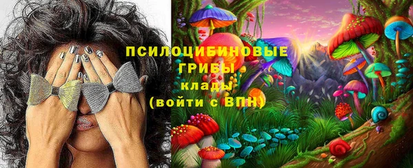 героин Алексин
