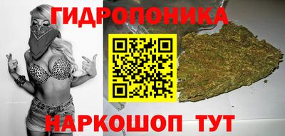 скорость Ногинск