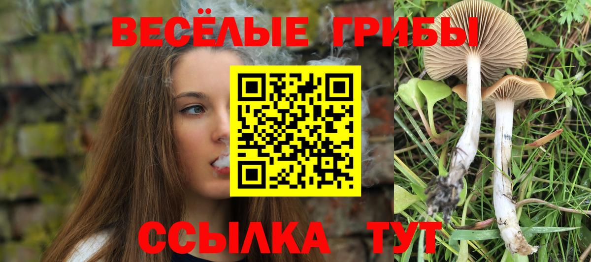 цены   Псилоцибиновые грибы GOLDEN TEACHER  Галлюциногенные грибы GOLDEN TEACHER  Вход с VPN  Апрелевка 