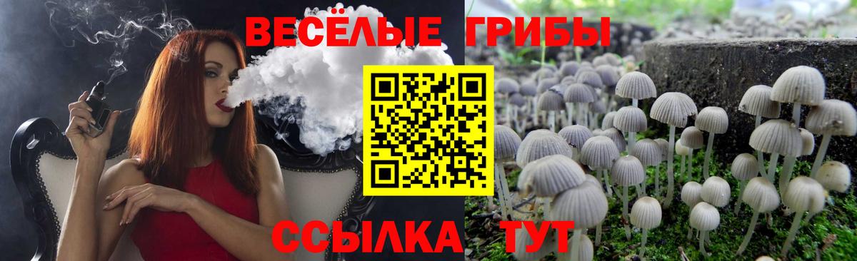 Псилоцибиновые грибы Psilocybine cubensis Апрелевка